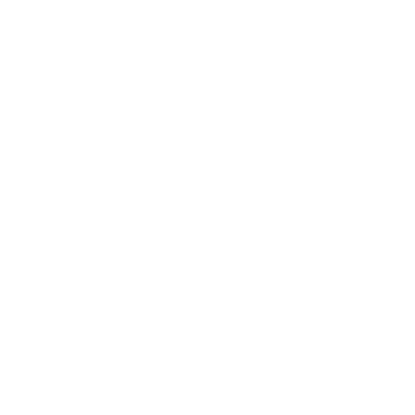 ruler icon
